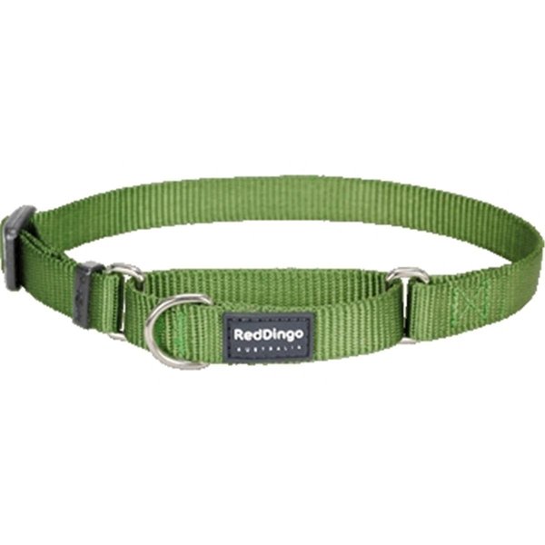 Red Dingo Martingale Dog Collar Classic Green, Medium RE437180